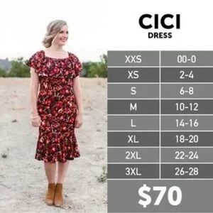 LuLaRoe Floral Off-Shoulder CiCi Dress